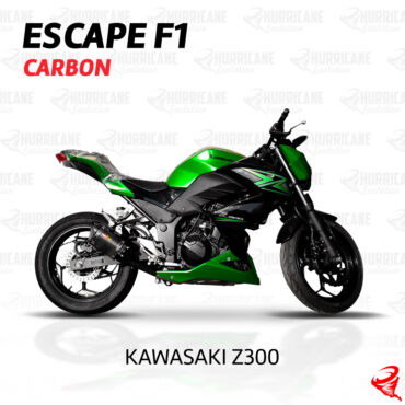 Imagem do produto Escapamento F1 Carbon Kawasaki Z 300 2015 a 2019